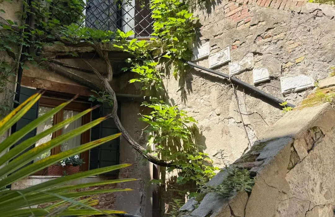Suite Piscina San Samuele-1